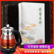 荷香金茯湖南安化黑茶八年陈料2斤装金花黑茶手筑茯砖茶天尖老茶