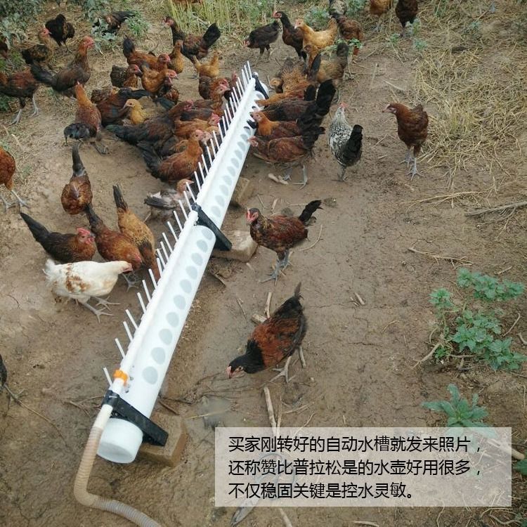 鸡用自动饮水器鸡鸭鹅用自动饮水喂水器水槽养鸡设备用品包邮
