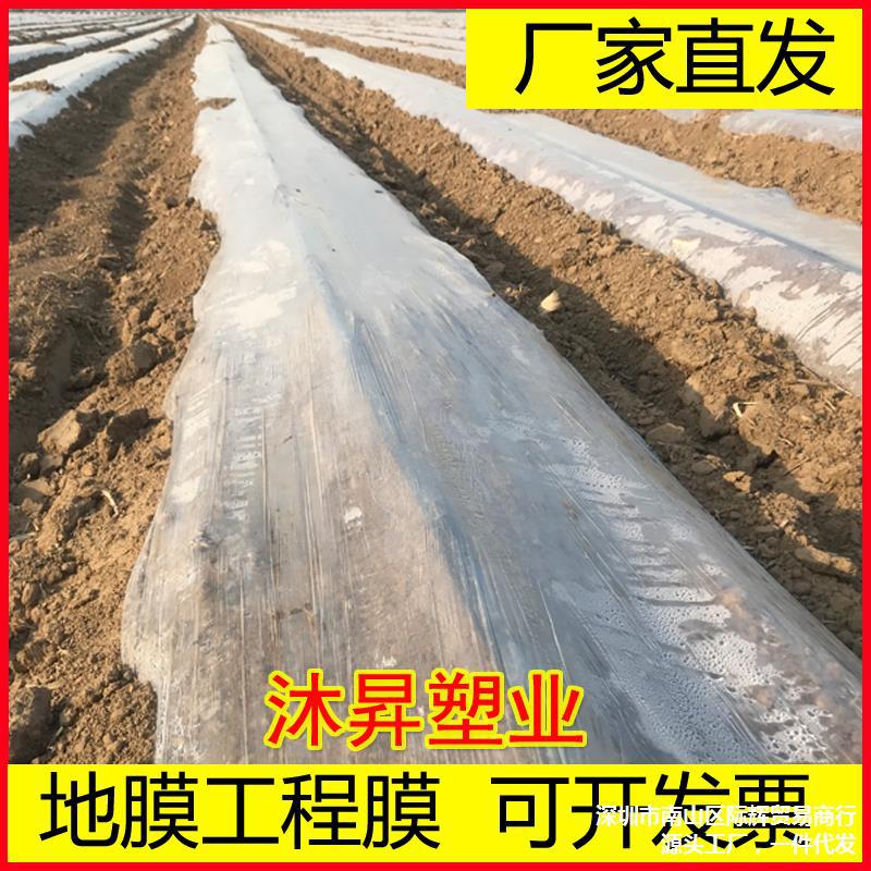 一次性地膜地面保护膜塑料透明混凝土建筑工地专用膜工程养护膜