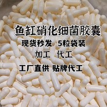 批发袋装硝化细菌干粉水质净化粉水族箱观赏鱼水族硝化细菌胶囊