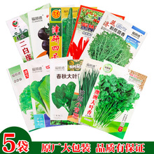 一件代发蔬菜种子四季阳台农家播种盆栽香菜菠菜生菜韭菜菜心小葱