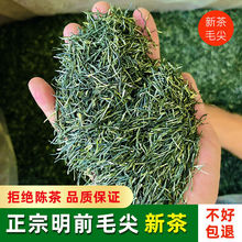 【特级毛尖绿茶】明前毛尖茶高山嫩芽春茶叶浓香型绿茶袋装250克