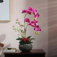 假花仿真花客厅餐桌上的插花摆设蝴蝶兰花艺摆件家居饰品装饰绢花