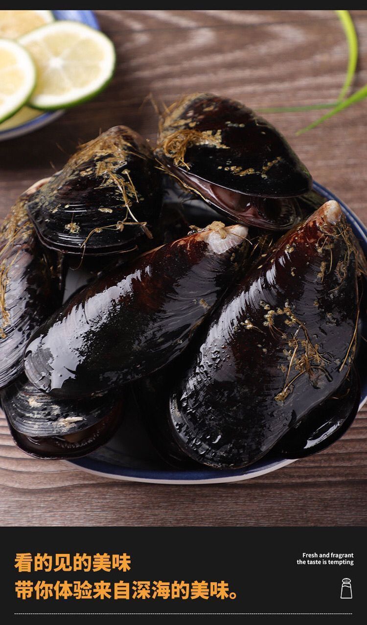 当天捕捞鲜活新鲜无沙大海虹贻贝青口贝当季鲜活淡菜冷链