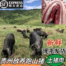 贵州农家土特产土猪肉跑山猪现杀排骨五花肉新鲜发货500g顺丰包邮