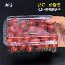 一次性水果盒透明塑料一斤装包装盒有盖草莓盒超市生鲜榴莲打包盒