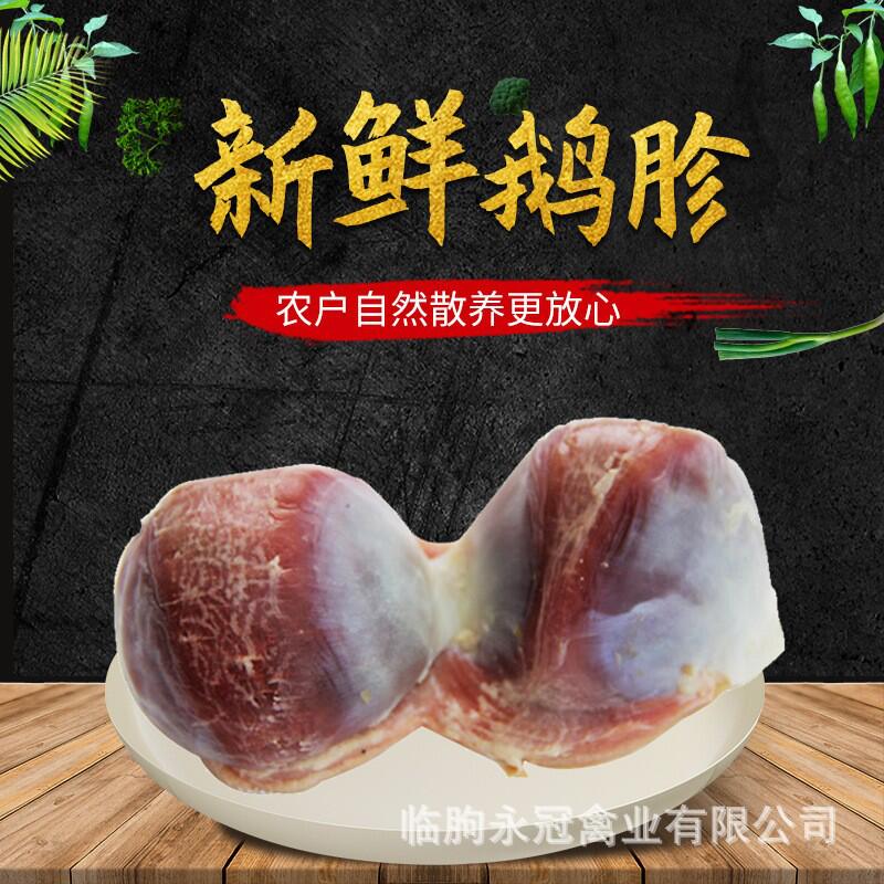 工厂货源租赁活体展览动物￥666立抢养殖活体浮动土肥鹅苗￥5.