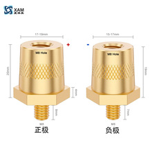 电瓶接线柱M8实心六角螺柱锂电池塑料外壳蓄电池正负极接线端子