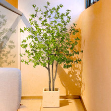 吊钟仿真绿植马醉木室内仿生盆栽假植物客厅大型落地装饰摆件