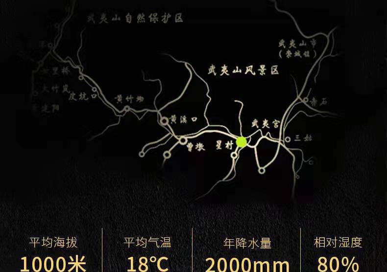 花香果香 桐木关正山小种红茶特级红茶正宗浓香型 礼盒装罐装500g