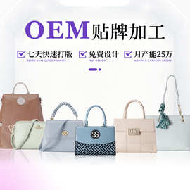 handbags单肩包斜挎包加工定制OEM广州大型女包包贴牌代加工厂家