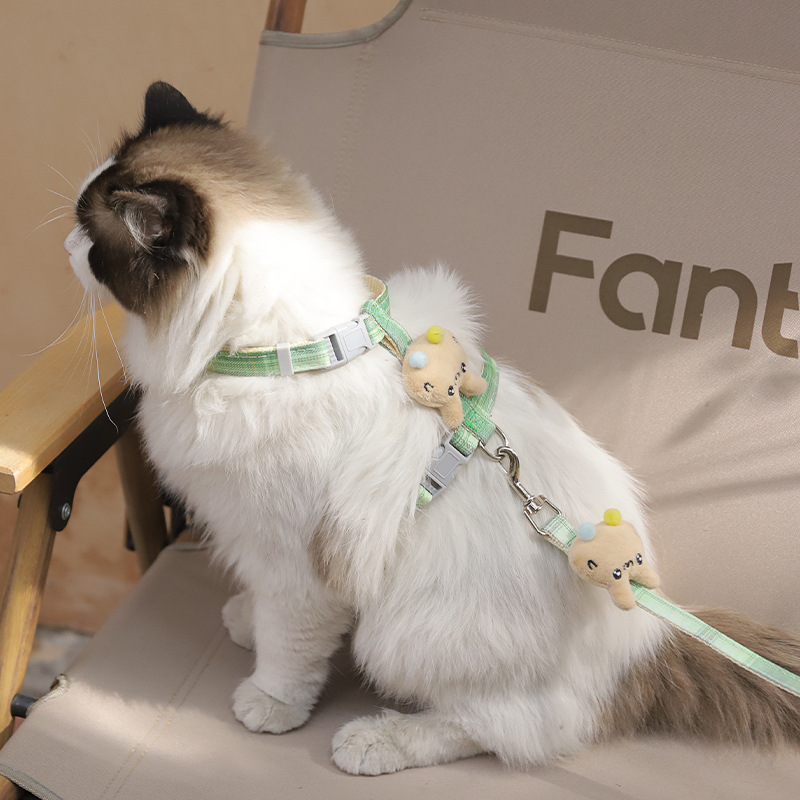 跨境批发宠物猫咪牵引绳猫绳防挣脱可调节牵引猫拴猫绳链一件代发