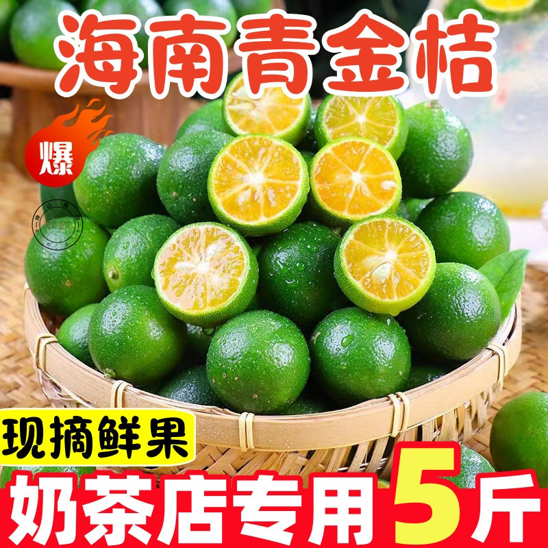 海南小金桔青金桔新鲜薄皮奶茶店专用小青桔青柑批发跨境一件起批