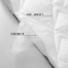 O5Z2枕头保护套 夹棉枕头套枕芯套白色保护套加厚出口品