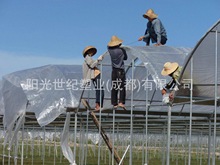 供应四川内江无滴大棚膜/遮阴网/遮太阳网/地膜生产厂家批发