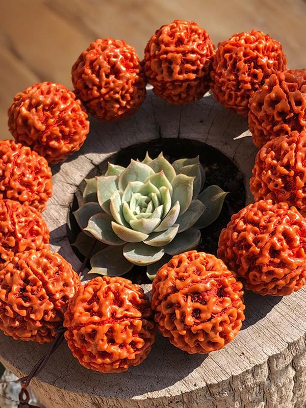 落地红七八瓣印尼大金刚菩提珊瑚纹手串男女适用佛珠手链手持文玩