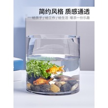 金鱼缸 玻璃 水族箱小型创意生态圆形 圆柱大号乌龟缸 造景培装饰