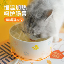 猫咪恒温饮水机宠物加热饮水器陶瓷碗喝水不湿嘴幼猫喂食狗狗用品