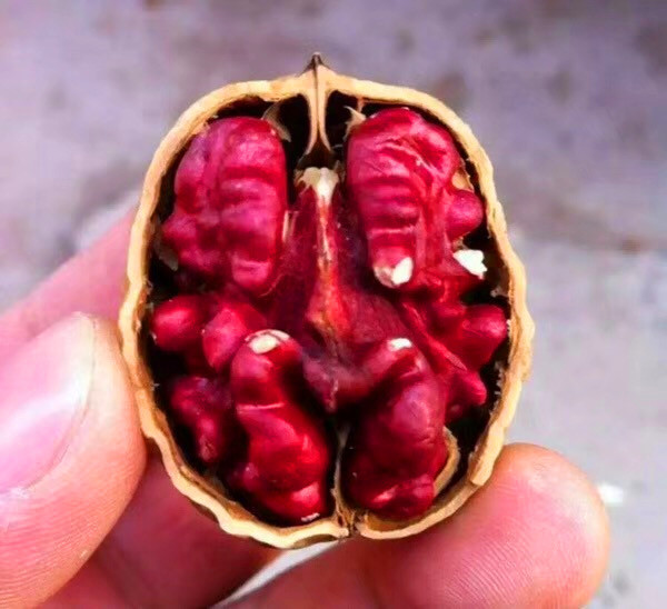 新疆特产野生红心核桃原味薄皮红衣血核桃年新货 2斤装 包邮-阿里巴巴