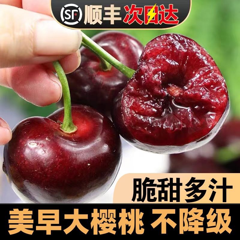 全母小螃蟹鲜活大闸蟹一元蟹二三元毛蟹稻田蟹河蟹农15-60只-阿里巴巴