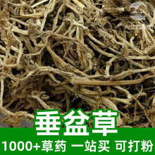 垂盆草1kg食品级中草药原材料可打粉Sedum sarmentosum狗牙半支