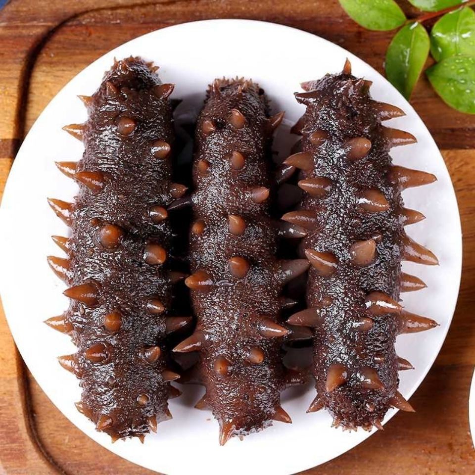 大连深海礁鲜活辽参野生单个装g即食大连海参餐饮生鲜水产海鲜十