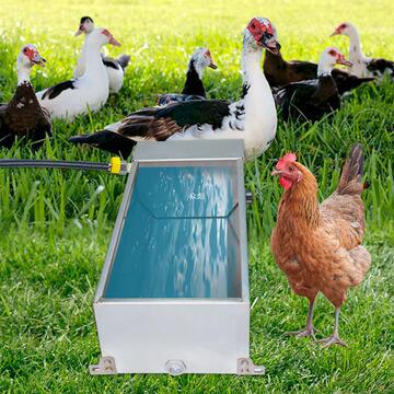 兽用不锈钢饮水器鸡鸭鹅猪牛羊自动蓄水槽家禽自动喂水大号喝水盆