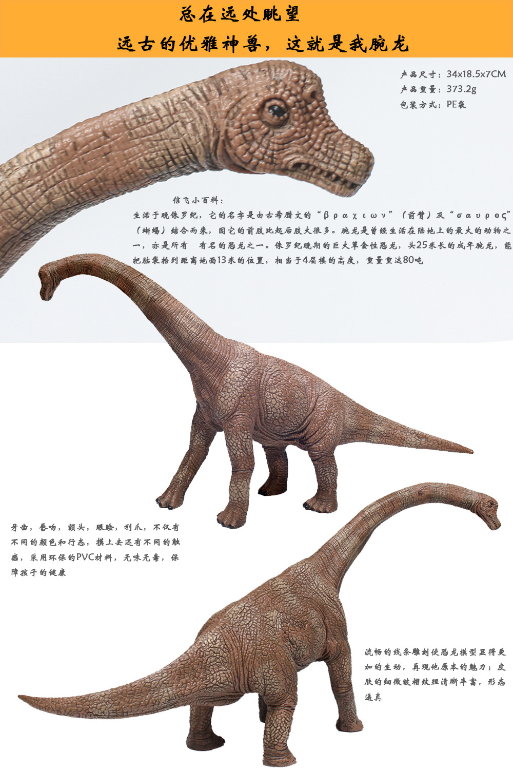 34cm 仿真恐龙模型 环保pvc硬质实心大号腕龙长颈巨龙模型玩具