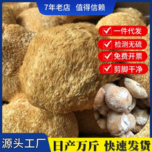 厂家直供古田无硫新货猴头菇干货批发散装新鲜猴头菇干食用菌批发