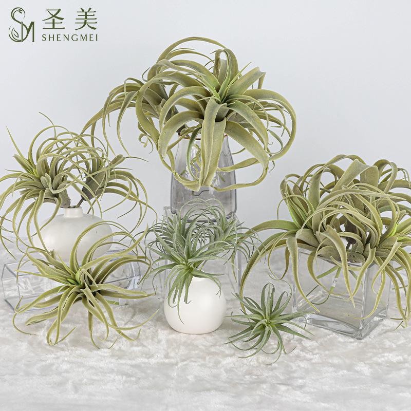 仿真空气草凤梨多肉植物空气草绿植墙面装饰老人须松萝假花沙漠花