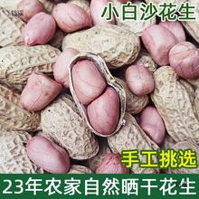 2023生花生带壳晒干花生种子新鲜原味可发芽农家自产河南小白沙白