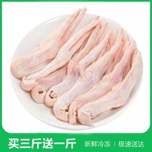 鸭爪冷冻批发新鲜大鸭掌生子鸭脚鸭掌卤菜食材火锅非无骨厂家代发