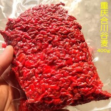 重庆合川谷麦甜薯杂粮窝料玉米麦粒鱼饵野钓鲤鱼饵料逗钓鱼打窝料