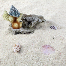 批发天然菲律宾沙鱼缸底沙珊瑚沙贝壳砂造景海沙三湖慈鲷鱼寄居蟹