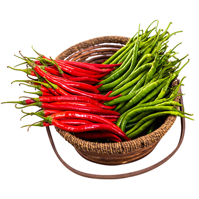 四川露天线椒二荆条红青椒辣椒农家辣椒剁椒辣椒现摘带箱5斤