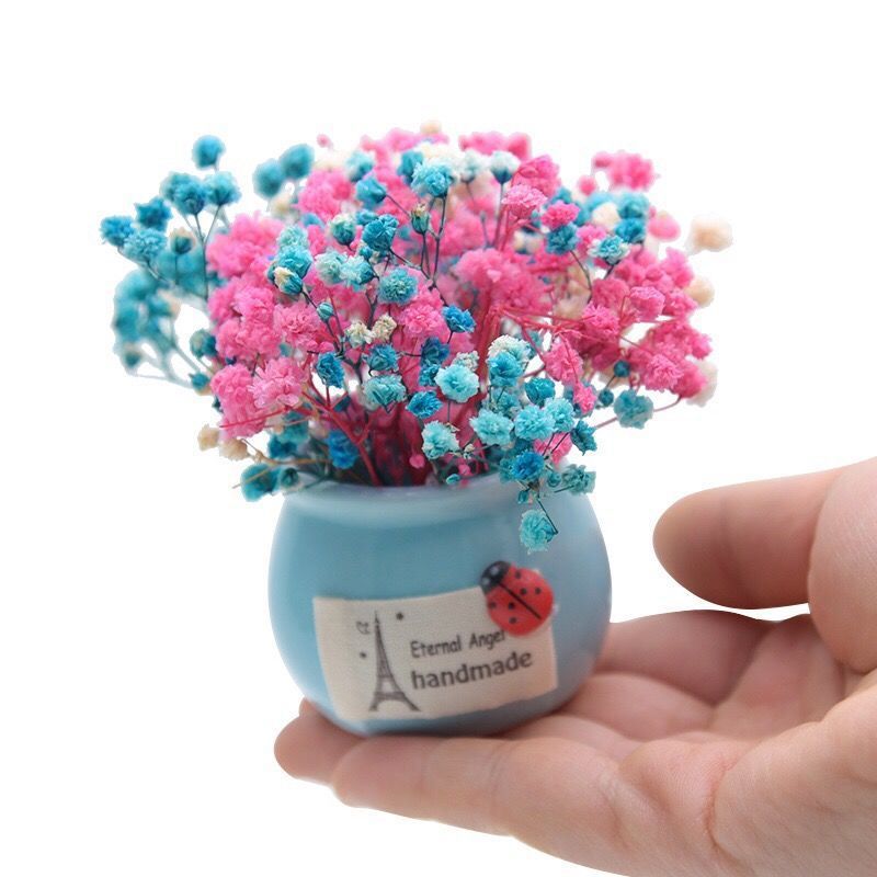 Mini Preserved Fresh Flower Starry Dried Flower Small Vase Home Desk Car Pot Decoration for Birthdays and Valentine's Days Gift