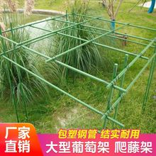 Vegetable trellis trellis trellis garden trellis hitching跨