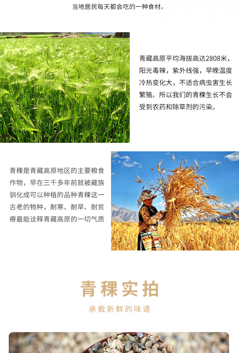 蓝青稞米 健康粗粮青藏五谷杂粮原料西藏白青稞大麦1斤真空装批发