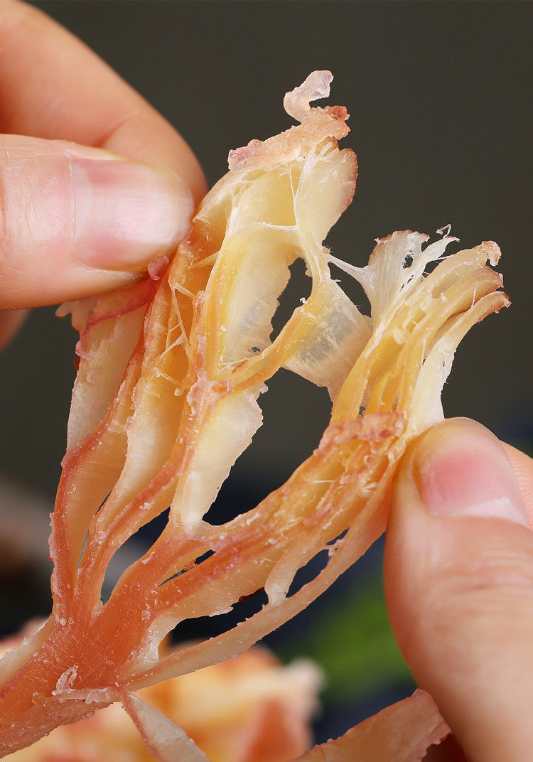 鱿鱼丝即食碳烤鱿鱼碎手撕奶香味鱿鱼条风琴鱿鱼片海鲜零食小吃厂