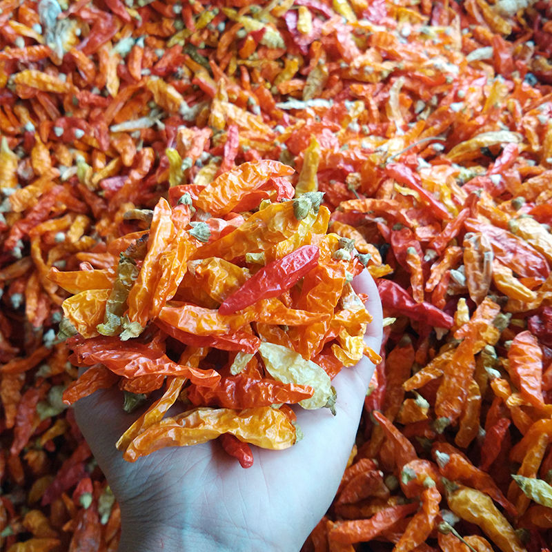 小米椒朝天椒巨辣黄干辣椒魔鬼巨辣野山椒湖南产地直发500g批发价