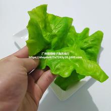 仿真生菜叶子假蔬菜模型白菜PVC青菜塑料食物摆件农家乐装饰道具
