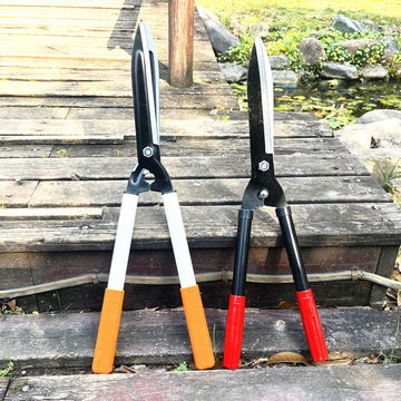 花剪园艺剪刀修枝剪花剪子工具大剪刀果树枝修剪草坪绿篱园林剪刀