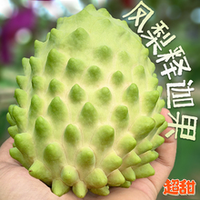 海南泰国三亚th释迦佛头果热带应季孕妇水果超大果10