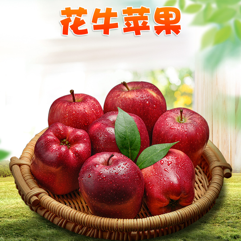 甘肃天水花牛苹果 代发3斤大果红蛇果圣诞平安果粉面红苹果非青苹
