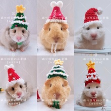 【】圣诞帽 仓鼠帽子金丝熊花枝鼠豹纹守宫豚鼠宠物拍照