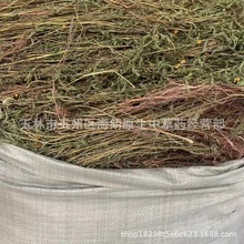 云南中药材软肝草 铁甲草 益肝草无硫新货正品包邮500克_阿里巴巴找货