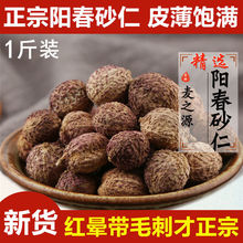 广东嘉华 阳春特产阳灵脱水春砂仁25g瓶装春砂仁籽即食砂仁调味料
