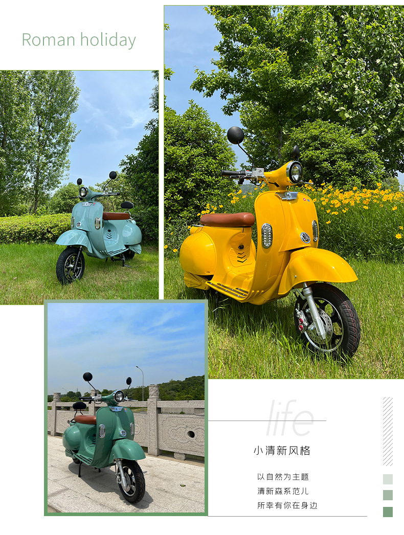 罗马假日电动车摩托车可上牌复古车踏板电摩电瓶车电动车厂家批发
