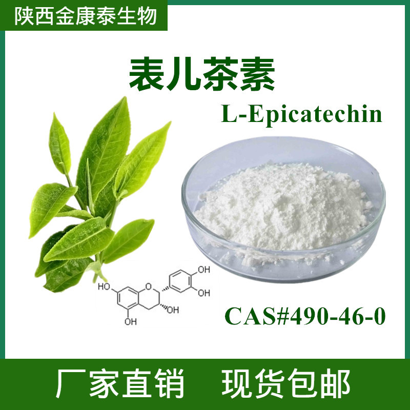 表儿茶素ec98490460绿茶提取物lepicatechin100g袋实验装
