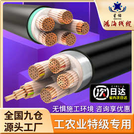 国标YJV/YJV22 0.6/1KV铜芯 电缆4 5芯10～300平方低压电力电缆线